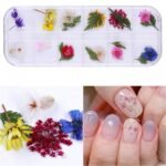 J.K Box - Dry Flower 08 (023085) *