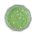 Glitter Νυχιών Με Παγιέτες  Y2803